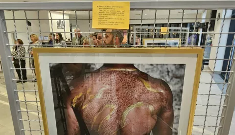 Izložba "Zlatna kora"