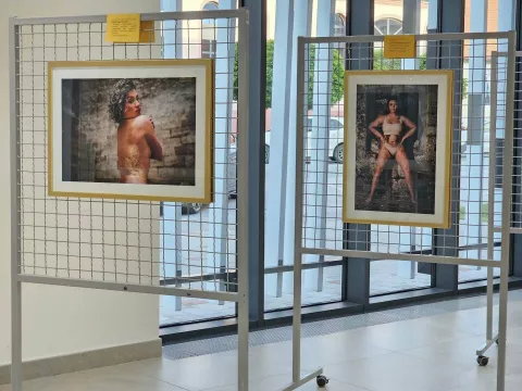 Izložba "Zlatna kora"