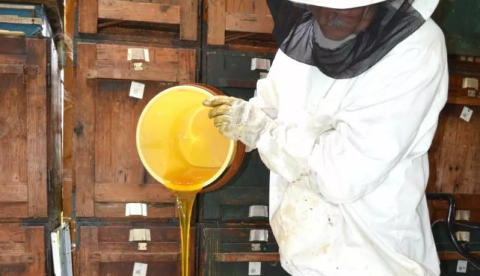 ?pčelari, pčele, med, konice, pčelarstvo, pčelinjak, vrcanje------4 st color ekonomija