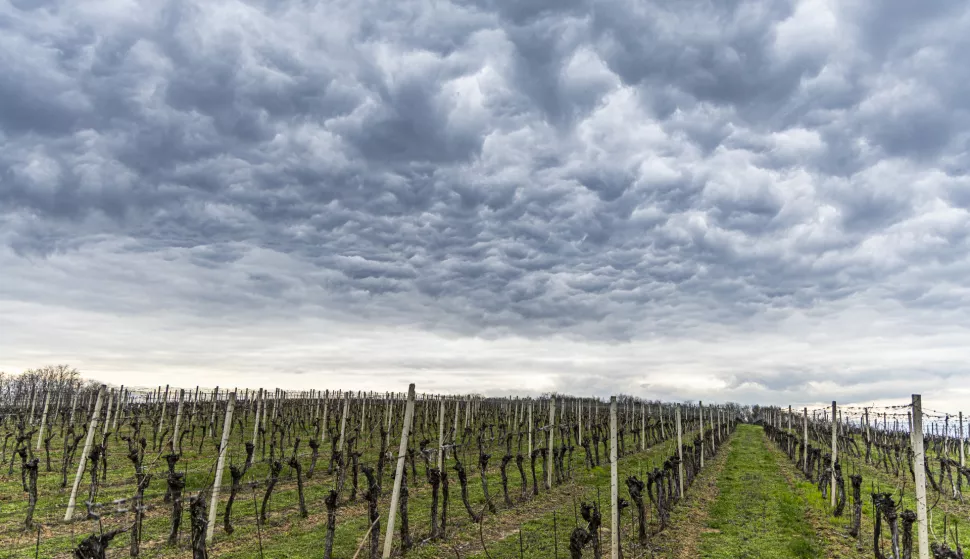 02.04.2025., Beli Manastir - Oblacno poslijepodne u Baranji. Photo: Borna Jaksic/PIXSELL