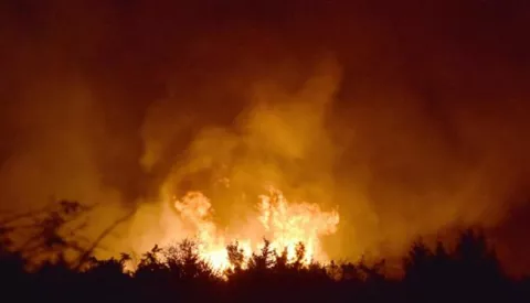 02.08.2017., Zelici - Veliki sumski pozar tijekom noci ugrozio kuce u zaseoku Zelici pokraj Knina.Photo: Hrvoje Jelavic/PIXSELL------jedan stupac novosti