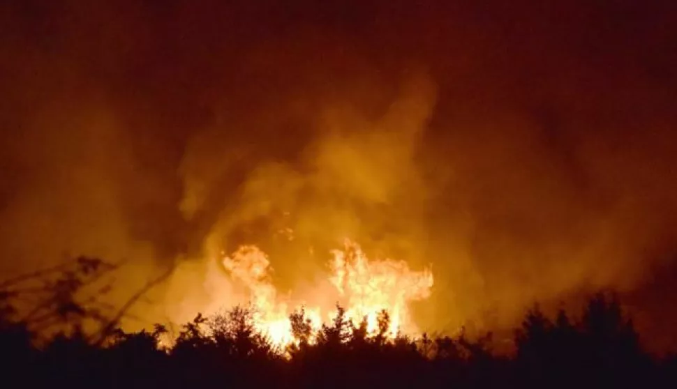 02.08.2017., Zelici - Veliki sumski pozar tijekom noci ugrozio kuce u zaseoku Zelici pokraj Knina.Photo: Hrvoje Jelavic/PIXSELL------jedan stupac novosti