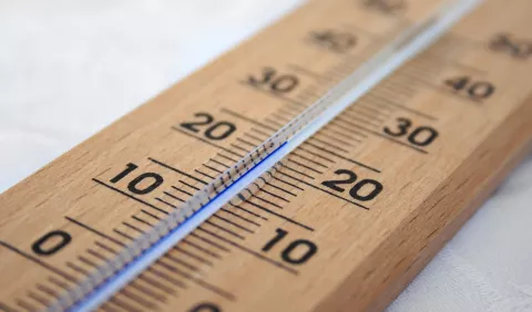 termometar termometar