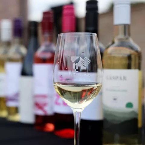 Vinatlon Zmajevac 2025