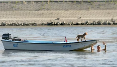snimio Davor KIBEL, Osijek, 12.07.2016. Rijeka Drava, kupalite elja, eljo, eljeznički most, tijekom popodneva građani uivali na plai, plaa, pijesak, kupanje, plivanje, sunčanje, sunce, ljeto, čamac, pas
