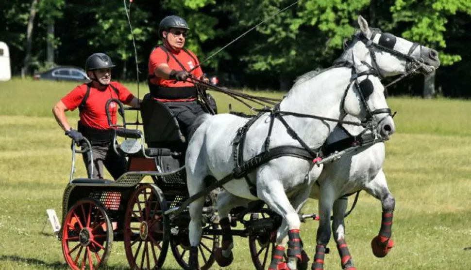 slavonija...rokovci; loviste kunjevci...15.05.2022.u organizaciji konjickog kluba "maestozo" odrzana 9. vinkovacka konjicka revija u sklopu koje je odrzano 1. kolo croatia cup u voznji zaprega jednoprega i dvoprega; po zavrsetku natjecanja posebni gosti "nobiles de croatia" s programom "kraljevski konji i sokolovi";foto Gordan Panić
