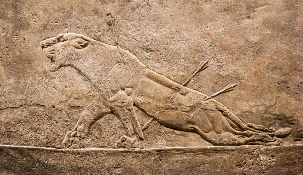 "IZGUBLJENI SVIJET VISEĆIH VRTOVA"