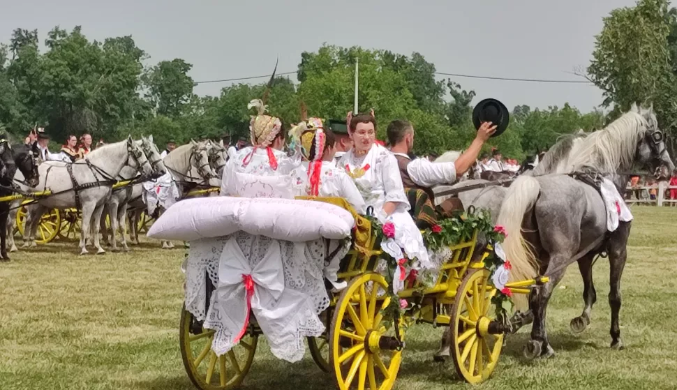 Konji bijelci 2024.foto: Marija Le&scaron;ić Omerović