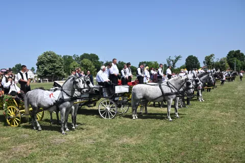 Babina Greda, 8.6.2025.- Predsjednik Republike Zoran Milanovi? sudjelovao je na otvorenju 44. manifestacije "Konji bijelci" odr?anom na hipodromu "Riti?" u Babinoj Gredi. foto HINA/Gordan Pani?/ gp