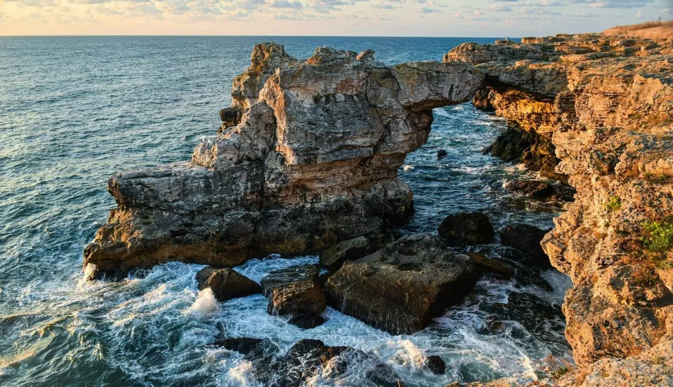 MORE OCEAN ILUSTRACIJA