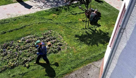 VINKOVCI - CVIJEĆE U GRADU, LIPANJ 2025.