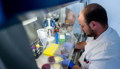 22 August 2022, Saxony, Chemnitz: Daniel Pilz prepares Escherichia coli strains for PCR analysis in a laboratory at the Landesuntersuchungsanstalt Sachsen (LUA) in Chemnitz. The aim of the LUA's work in the field of food safety and the safety of consumer goods and cosmetics is to protect consumers from hazards that can arise from unsafe food and materials and objects that are in prolonged contact with the body. Preventive consumer health protection is becoming increasingly important and is supported by the work of the LUA. The Saxon Ministry of Social Affairs has now presented the authority's annual report for 2021. Photo: Hendrik Schmidt/dpa Photo: Hendrik Schmidt/DPA