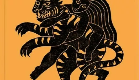 Neige Sinno: &raquo;Tužni tigar&laquo;