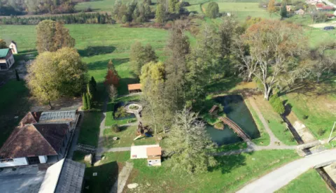 bREZNICA đAKOVAČKApROSINACC '24.sTARA KUPKA