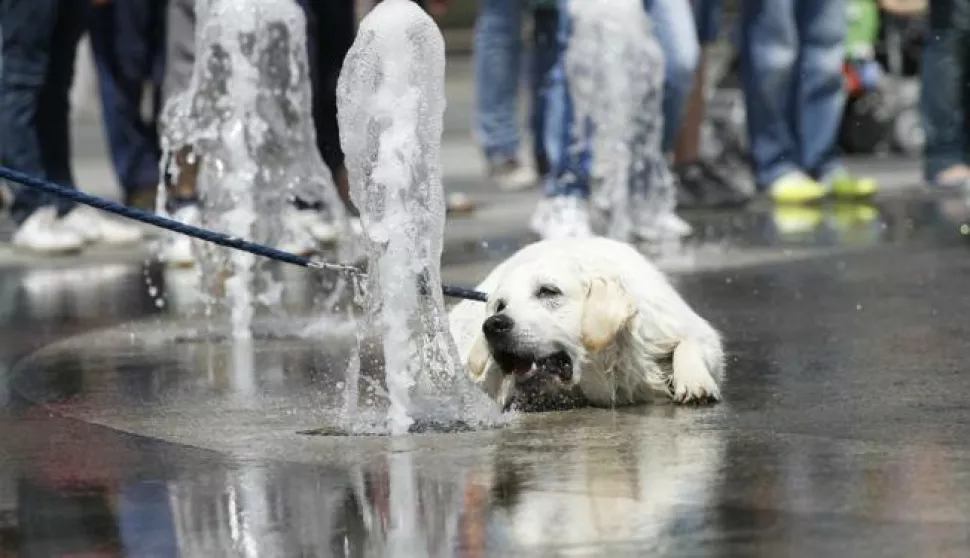 09.06.2011,Osijek - Igra u fontani na glavnom osjeckom trguPhoto: Marko Mrkonjic/PIXSELL------4xcolor osijek