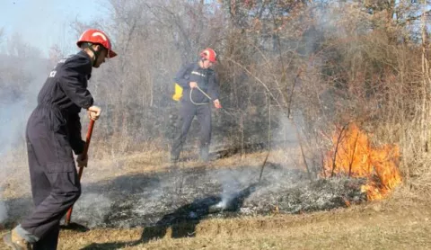 Doljanci,050312Pripadnici DVD-a Biskupci tijekom gasenja pozara na otvorenom.