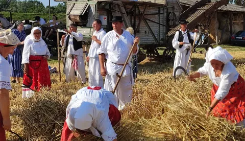 Prikaz žetve u prošlosti u Županjiarhiva
