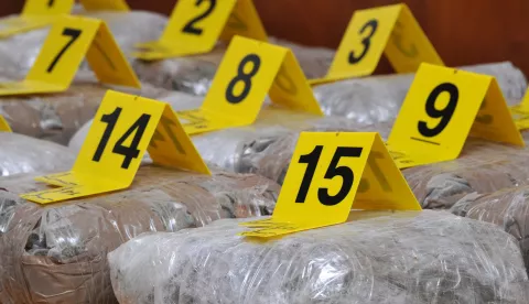 crna...vinkovci...28.06.2012.velika gradska vijecnica; policija i carina organizirale tiskovnu povodom pronalaska 302 kg marihuane u kamionu na mgcp bajakovo, koju je u praznom kamionu vozac pokucao prenijeti u hrvatsku, pe dalje za zapadne zemlje; procjenjena trzisna vrijednost zaplijenjene marihuane je 4,5 miliona kunafoto gordan panic