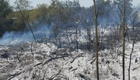 Za vrućih dana vatrogascima pune ruke posla: Na paklenoj vrućini, s 30 kg opreme, gase planula polja