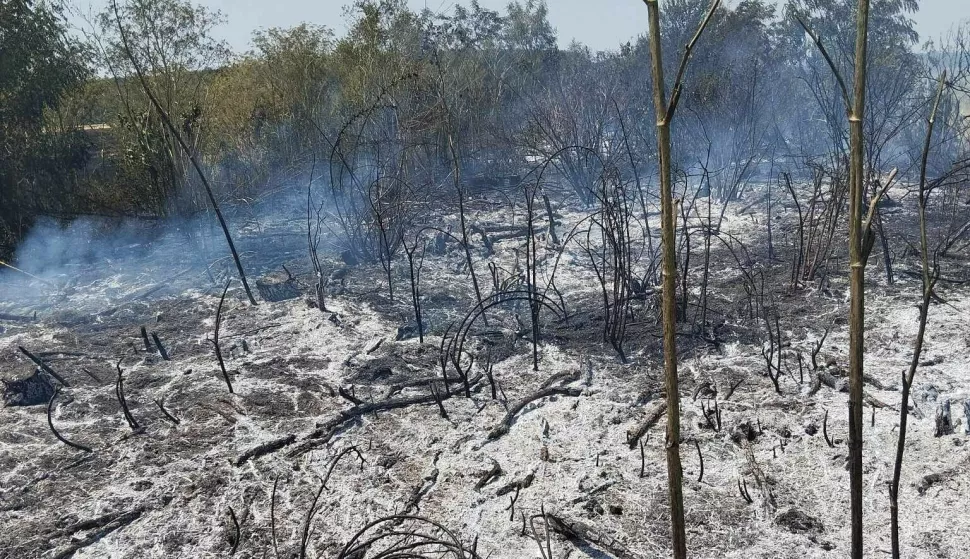 Za vrućih dana vatrogascima pune ruke posla: Na paklenoj vrućini, s 30 kg opreme, gase planula polja