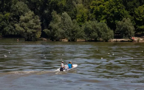Organizirani prijevoz na Vukovarsku adu