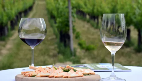 10.06.2022., Brodski Stupnik - U vinogradima pred hotelom Stupnicki dvori odrzan je 2. "Zalazak u vinogradu". Rijec je o svojevrsnom hedonistickom dogadjaju u vinogradu, uz vino, glazbu i umjetnost. Predstavili su se vinari Brodskog Stupnika, Oriovca i Nove Kapele s vinima tradicionalnih sorati koje se tu uzgajaju. Photo: Ivica Galovic/PIXSELL