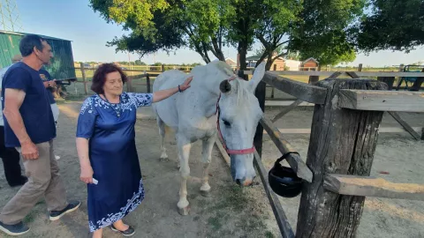 Konjički klub Ernestinovo