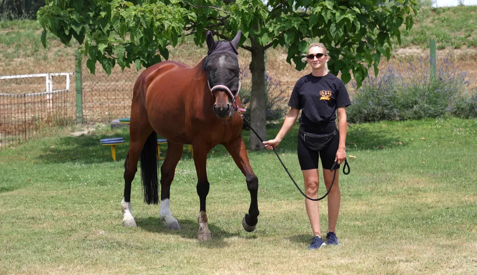 Cijele dane brinu se o konjima, ali to im je - plemenit poziv