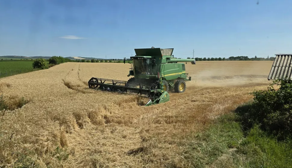 Ratari: Hrvatska će uskoro biti sva u cvijeću, ali neće imati pšenice