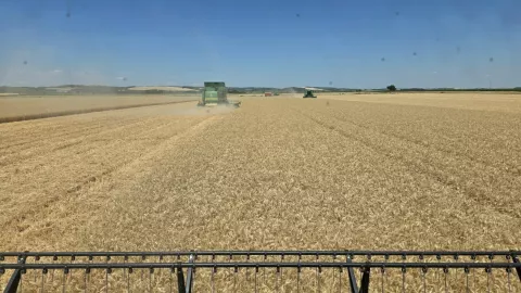 Ratari: Hrvatska će uskoro biti sva u cvijeću, ali neće imati pšenice