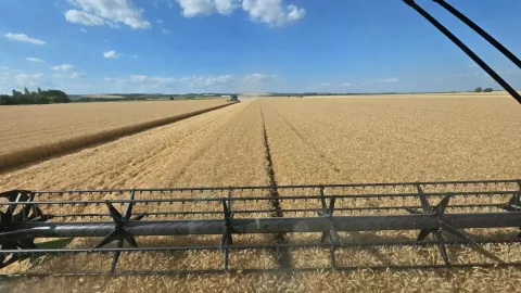 Ratari: Hrvatska će uskoro biti sva u cvijeću, ali neće imati pšenice