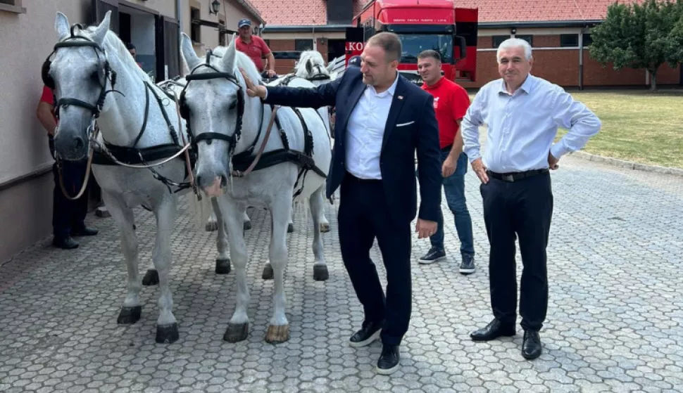 ĐakovoLipan 2025.Ministar poljoprivrede Davor Vlajčić u obilasku Pastuharne Državne ergele Đakovo