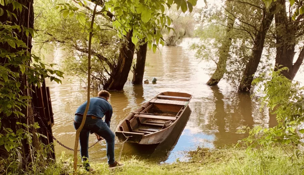 Bojan Đorđević spot