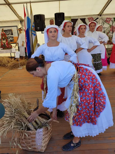 Žetva u Županji, srpanj 2022.snimila Marija Lešić Omerović