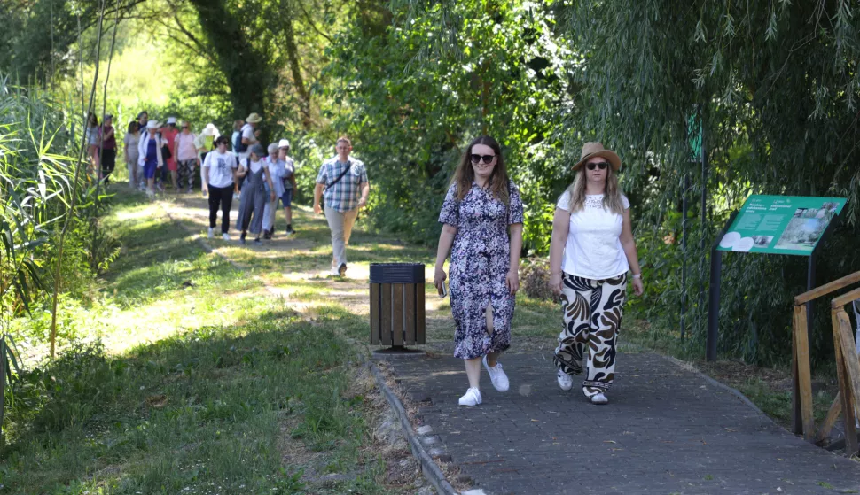 Kopački rit, 02. 07. 2025., Park prirode, Kopački rit, obilazak, kontinentalni turizam, turizam, turisti, turist, ljeto, vrućina, šetnja, prirodaSNIMIO BRUNO JOBST