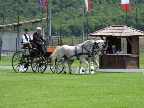 VINKOVAČKI KK MAESTOSO