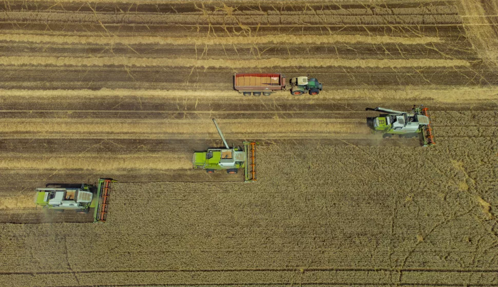 05.07.2022., Grabovac - Zetva psenice u punom jeku na polijma u vlasnistvu tvrtke Belje. Photo: Davor Javorovic/PIXSELL
