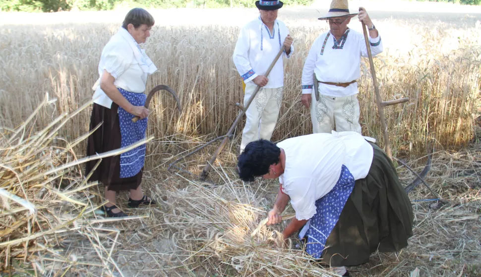 /Galerija/ Slovaci ponosno podsjetili na stare žetvene običaje