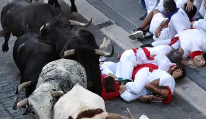epa12223658 'Mozos' or runners take part in the second Running of the Bulls during the Sanfermines festival in Pamplona, Spain, 08 July 2025. The San Fermin festival runs until 14 July 2025. EPA/J.P. URDIROZ