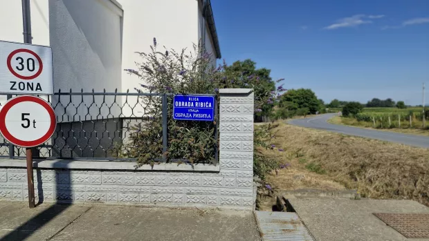 Afrička svinjska kuga navodno u Jagodnjaku