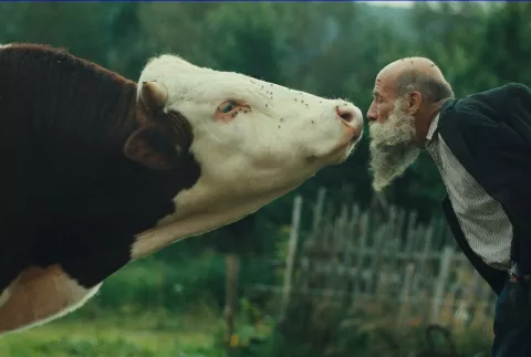 Kristalni globus pripao filmu &ldquo;Better Go Mad in the Wild&rdquo;