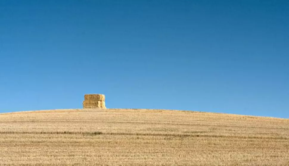 19. 07. 2022, polja, zetva, bale sijena, slama, ljetoSNIMIO BRUNO JOBST