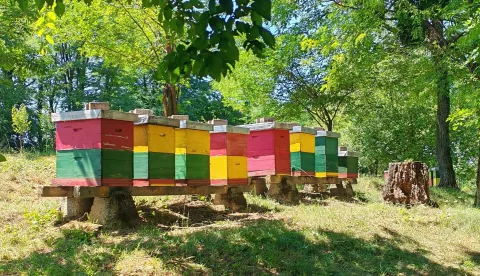 Kaznionica u Lepoglavi i ove godine osvojila priznanja za vino i med