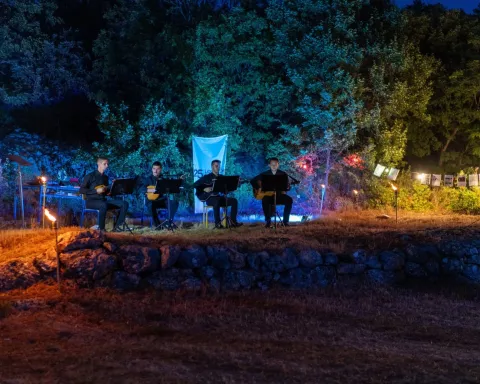 Petar Sekelez: U budućnosti bismo mogli parirati mnogim većim svjetskim festivalima