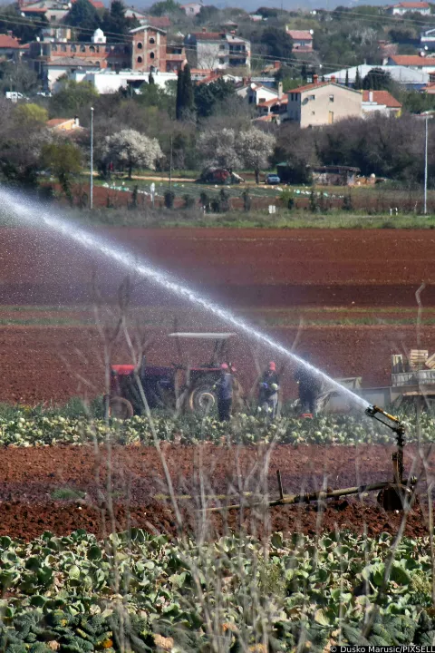 09.04.2020., Pula - Navodnavanje polja u okolici Pule. Photo: Dusko Marusic/PIXSELL
