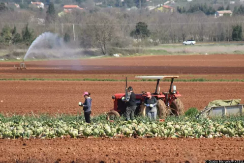 09.04.2020., Pula - Navodnavanje polja u okolici Pule. Photo: Dusko Marusic/PIXSELL