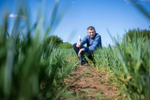 15 May 2025, Bremen: Farmer Eckart Hoehne uses a folding rule to measure the depth of the cracks in the dry soil of his wheat field. Photo: Sina Schuldt/dpa Photo: SINA SCHULDT/DPA