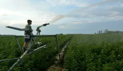 29.06.2017., Garesnica, Kaniska Iva - Velike poljoprivredne proizvodne povrsine tijekom ljetnih vrucina vape za navodnjavanjem, a moderni poljoprivredni sustavi poput primjera OPG-a AGRO Puskaric sa oko 300 hektara povrsina podrazumijevaju i najsuvremenije sustave navodnjavanja, primjerice tzv. vodenim topovima. Photo: Damir Spehar/PIXSELL 