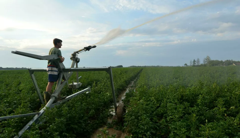 29.06.2017., Garesnica, Kaniska Iva - Velike poljoprivredne proizvodne povrsine tijekom ljetnih vrucina vape za navodnjavanjem, a moderni poljoprivredni sustavi poput primjera OPG-a AGRO Puskaric sa oko 300 hektara povrsina podrazumijevaju i najsuvremenije sustave navodnjavanja, primjerice tzv. vodenim topovima. Photo: Damir Spehar/PIXSELL 