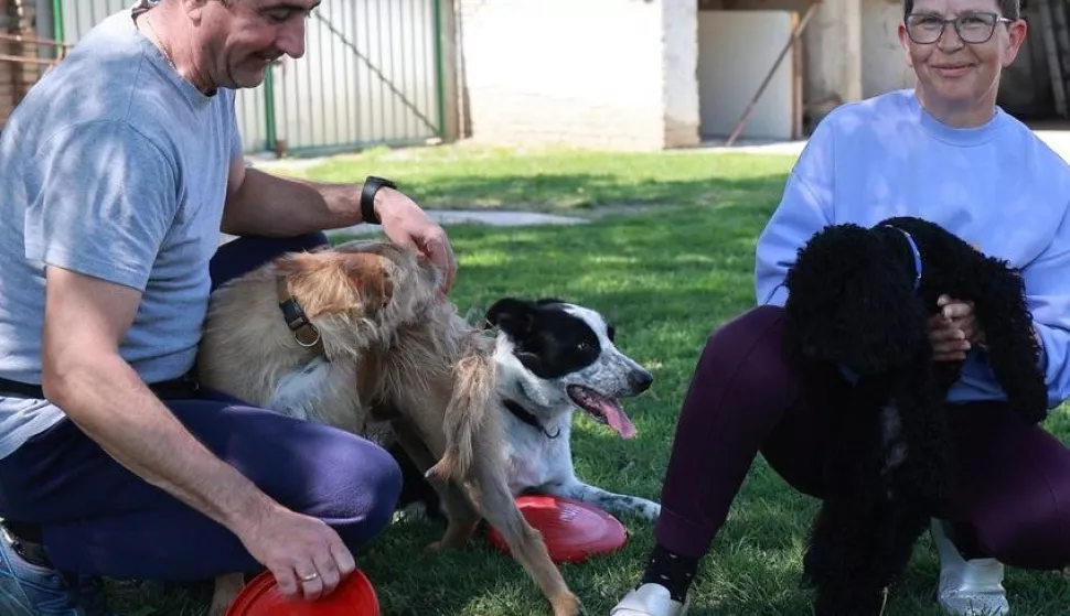 VINKOVCIUdruge koje brinu o životinjama upozoravaju kako je na našim ulicama najviše napuštenih životinja, poglavito pasa i mačaka, za ljetnih mjeseci,"hotel" - Salaš za pse u Marincima 2025.